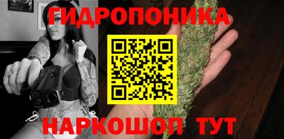 молекула духа Лесосибирск