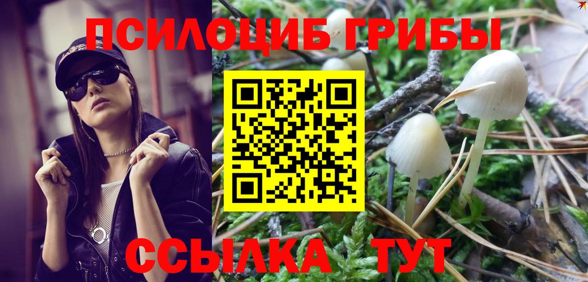 Псилоцибиновые грибы Cubensis Донецк